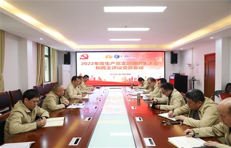 廖立波、唐峰、何勇以普通黨員身份參加所在黨支部2022年度組織生活會(huì)