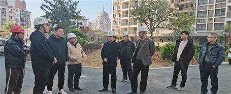 蒙勝益到桂南分公司項(xiàng)目調(diào)研指導(dǎo)工作