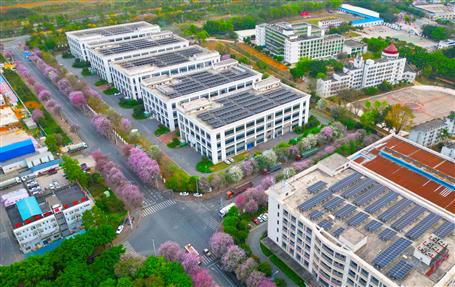 【實(shí)干筑夢(mèng)·競賽爭鋒】冶建基礎(chǔ)分公司一光伏發(fā)電項(xiàng)目順利通過竣工驗(yàn)收